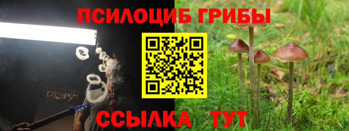 Углич  Галлюциногенные грибы Cubensis  Вход с VPN 